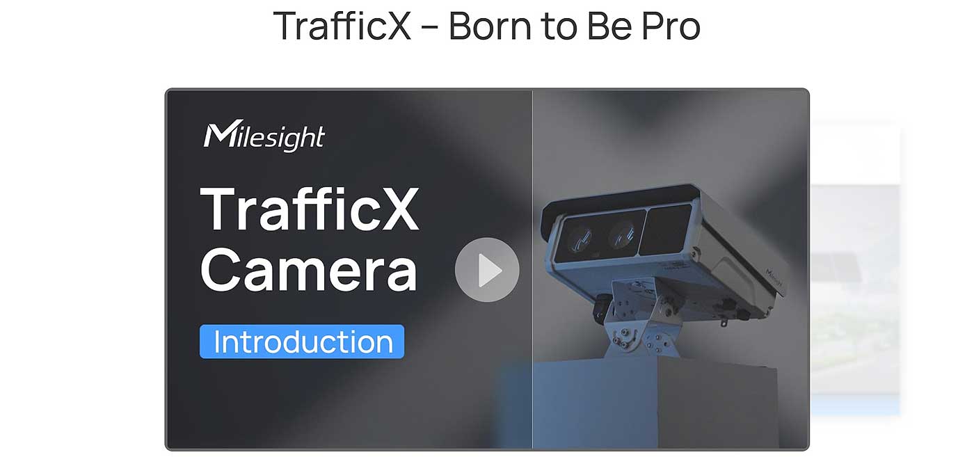 TrafficX - Born to Be Pro