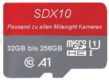 LCS-SD-Speicher Karte 32GB